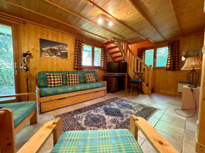 Chalet 2 chambres +1 espace couchage, terrasse, parking, WIFI, non fumeur - FR-1-572-264